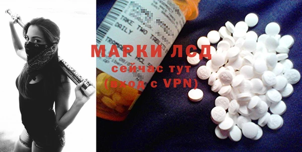 стафф Аркадак