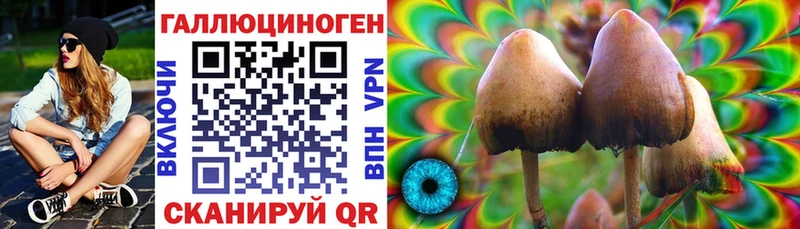 Псилоцибиновые грибы прущие грибы  купить закладку  Белинский 